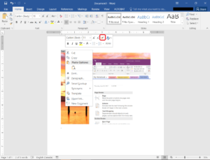 Right click and select format painter