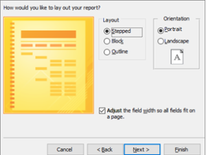 options for report