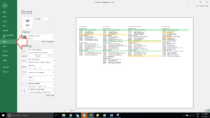 Click File, Click Print, look to the left