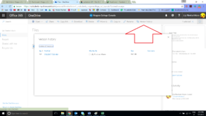 Click Version History button
